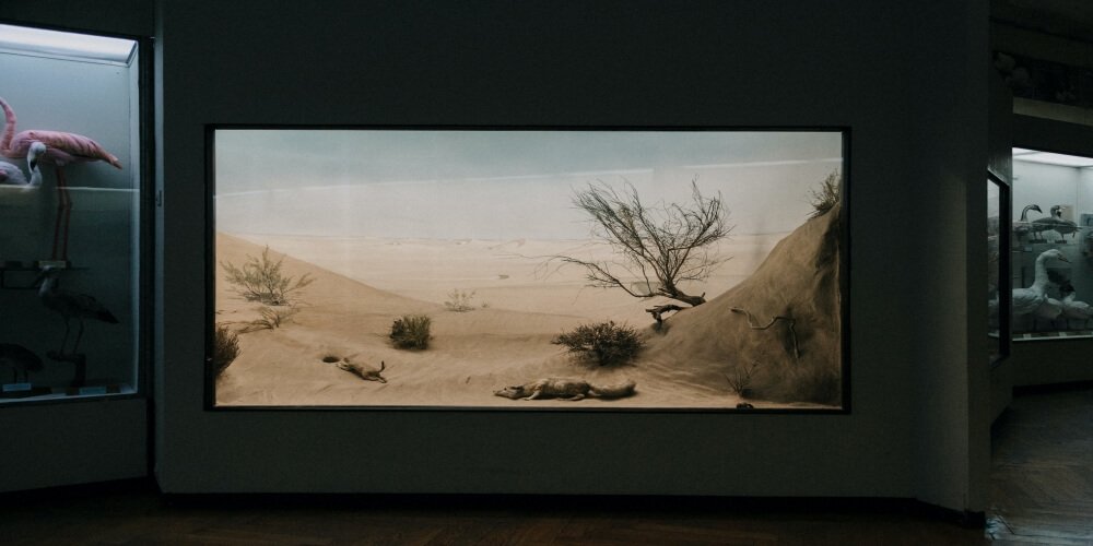 Various Types of Custom Display of LED Screens