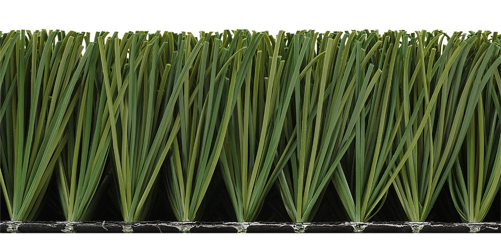 Which grass is used in football playgrounds?