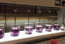 Why Polyaluminium Chloride Is the Go-To Coagulant for Clean Water